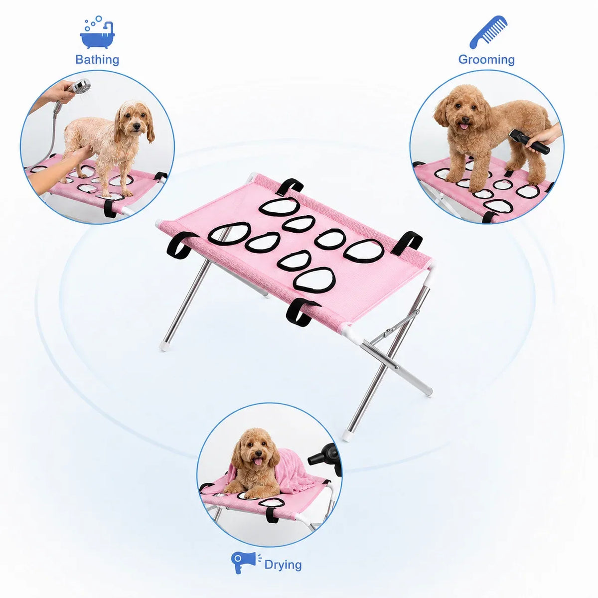 https://cdn.dropmagic.ai/medias/ba390daf-cb83-4ede-b00f-fd4e78c72086.webp